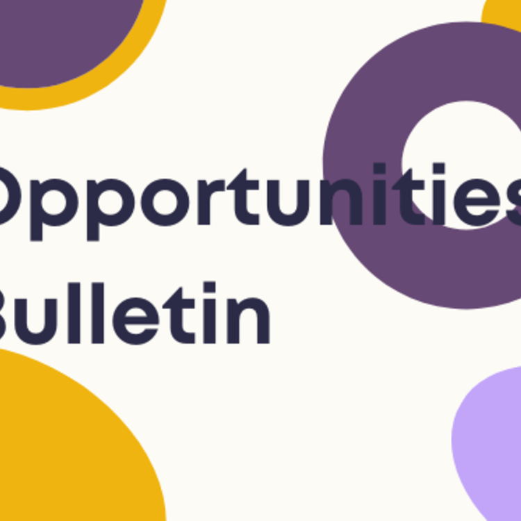 Image of Opportunities Bulletin