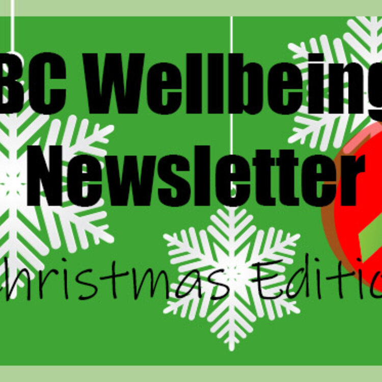 Image of BC Wellbeing Newsletter - Christmas Edition