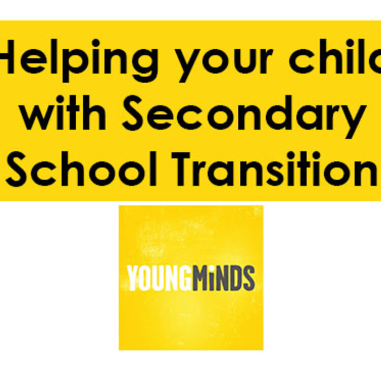 Image of Secondary School Transition Help